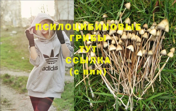 меф Балахна